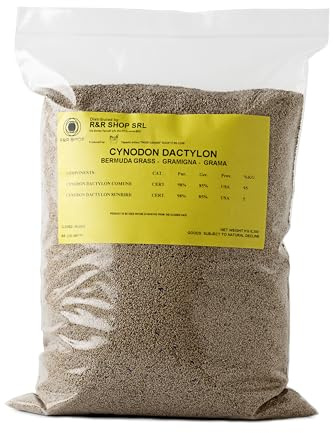R&R SHOP - Semi per Prato Resistente, Gramigna Cynodon Dactylon, Origine Usa, Resistente a Caldo & Siccità, Calpestabile (900gr-90mq)