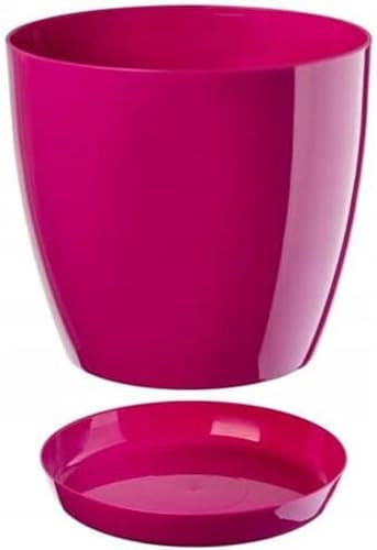 B2C Plant Pot Flower 20 Colours 9 sizes Gloss Plastic Plant Pots Planter Saucer Tray Deco (14 cm/ 5.5 inch, Fuchsia)