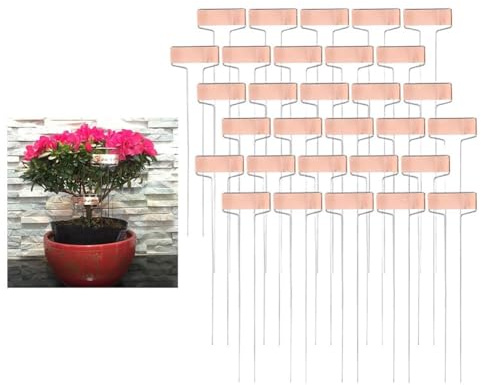 Kivivaka Etichette riutilizzabili per piante da giardino, 30 pezzi, in metallo, targhette per piante, resistenti alle intemperie, con paletto, piante in vaso, fiori