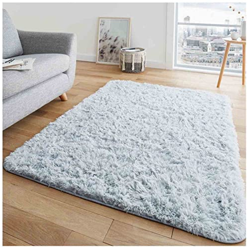 GC GAVENO CAVAILIA Area Rugs Wohnzimmerteppich Bodenteppich - Extra weicher Schlafzimmerteppich Rutschfest - Weiches Gefühl Flauschiger Teppich Klein - Shaggy Teppiche für Wohnzimmer - Silber - 60X110