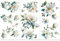 PLIGREAT 3 Blätter Magnolie reiben auf Transfer für Möbel Aquarell Blumenn reiben auf Aufkleber Vintage Blumen reiben auf Transfer Aufkleber für Holz Schrank Scrapbooking Handwerk dekorativ