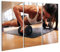 islandburner Bild auf Leinwand Starke Junge Frau Push Ups Hanteln Fitness Modell In Turnhalle Bilder Wandbilder Poster