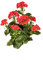 Kunstpflanze Geranie rot blühend UV-Beständig mit 40cm - Künstliche Pelargonien Garanienpflanze zum Stecken