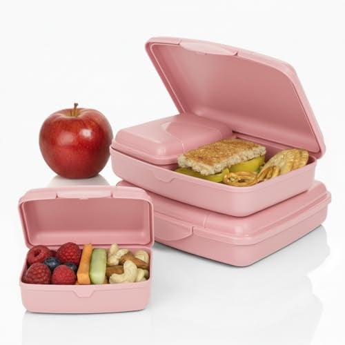 Hausfelder Brotdosen-Set 4er Erwachsene, Lunchbox flach, Rosa | 2 große (16x12x4 cm) + 2 kleine (9,5x7x3,5 cm) Dosen, stapelbar, spülmaschinengeeignet, für Schule, Büro & unterwegs