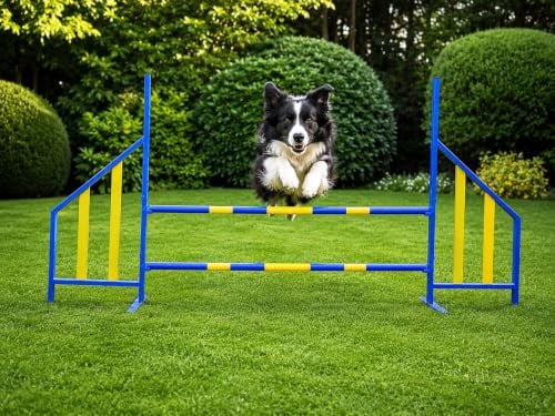 Zewool Procyon Agility Hürde für Hunde Profi-Training-Set FCI konform Hürden Hundeport