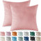 Ystyle Federe Cuscini Divano 45x45 2 Pezzi, Federa Cuscino in Velluto, Copricuscino Divano Lavabili e Resistenti Anallergico Antiacaro e Traspirante con Cerniera Nascosta, Rosa