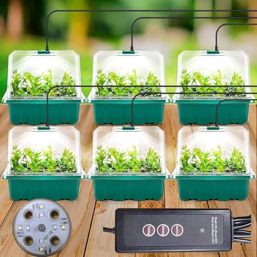 Zimmergewächshaus Anzuchtkasten, 6 Stück Mini Gewächshaus Anzucht mit Hoher Deckel, Setzling Starter mit Timing-Controller (8 LEDS), Tabletts Treibhaus Anzuchtschale mit 10 Etiketten und 2 Werkzeuge