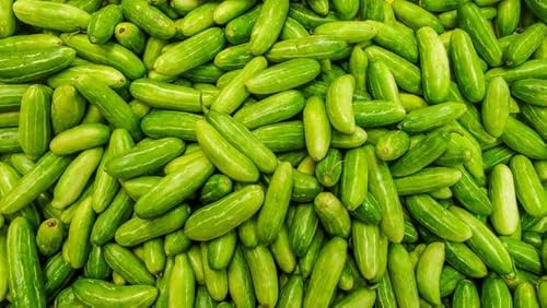 Fresh Green Tindori I Ivy Gourd I 1KG