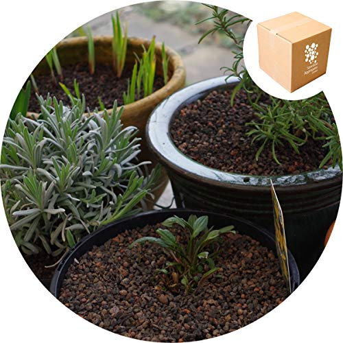 ® - Ultralite - Lightweight Horticultural Grit - 50L, Cacti, Alpines, Lavender, Terrariums, Bottle Gardens, Vivariums