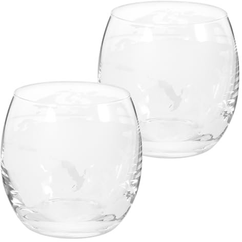 Veemoon Vasos De Vidrio para Beber Globo Terráqueo Vasos De Whisky Vasos De Bebida Novedosos Mapa del Mundo Tazas Grabadas con Mapa del Mundo Vasos para Beber Whisky Cócteles