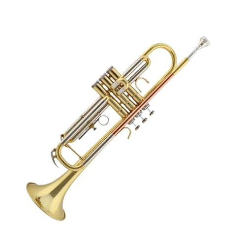 Standard Trompeten Bb Professionelle Trompete Fortgeschrittene B Flache Trompete Fall Gold Lack Blasinstrumente Trompete