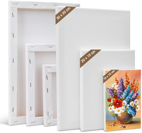 Kigniote Toile à Peindre Toile Peinture (Lot de 6) Toiles Blanche - 30 x 20, 20 x 15, 15 x 10 cm Tableau a Peindre pour Acryliques, Peintures à l'huile, Gouache, Enfants, Débutants, Peintres Toiles