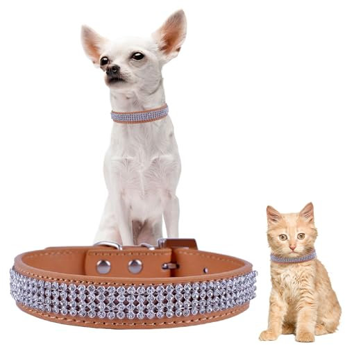 Trimming Shop Hundehalsband für Hunde und Katzen PU Leder 5 Zeilen Unechte Glänzend Diamanten Kristalle, D Ring und Traditionell Schnalle Verschluss - Beige, Small