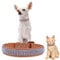 Trimming Shop Hundehalsband für Hunde und Katzen PU Leder 5 Zeilen Unechte Glänzend Diamanten Kristalle, D Ring und Traditionell Schnalle Verschluss - Beige, Small