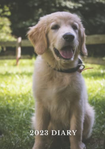 Golden Retriever Diary 2023 Slim: A6 diary, week to view, diary planner 2023-24, perfect gift for women, men, and golden retriever lovers, (4.25 x 6)