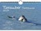 Tierzauber Tierfreunde DIN A5 Wandkalender für 2024 verschiedene Tiere und ihre Freundschaften - Seelenzauber
