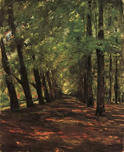 SERENDIPITP Max Liebermann Leinwand-Poster, ohne Rahmen, 50 x 70 cm, Allee in Overveen