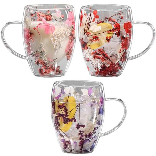 350ml Dried Flowers Double Wall Glass Coffee Mugs - 3pcs Insulated Heat Resistant Tea Cups with Dry Flowers