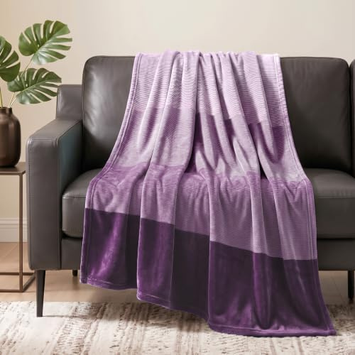 PAVILIA Flanell Fleecedecke Ombre für Couch | Super weiche kuschelige Microfaser-Sofa Decke | Farbverlauf Deko Tagesdecke, Twin Decke | Für Jede Jahreszeit, 152 x 203 cm
