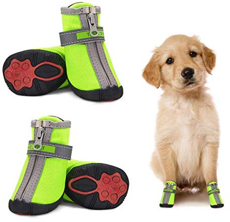 Dociote Hundeschuhe pfotenschutz mit Anti-Rutsch Sohle, reflektierendem Riemen, Klettverschluss, Reißverschluss wasserdicht Schneeschuhe für kleine Hunde 4 Stück Grün 4#