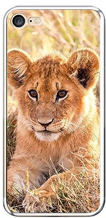 König Design Handyhülle Kompatibel mit Apple iPhone 7 / iPhone 8 / iPhone SE 2020 / iPhone SE 2022 Hülle TPU Eckenschutz Stoßfest Dünn Kratzfest Schutzhülle - Löwen Baby