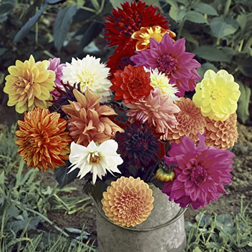 20 Servietten Dahlien im Eimer Blumen 33cm