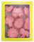 TopHomer Moldes para galletas con temática de verano, 8 piezas, moldes para galletas, moldes 3D de plástico, cortadores de galletas, moldes para niños, galletas, hornear (verano)