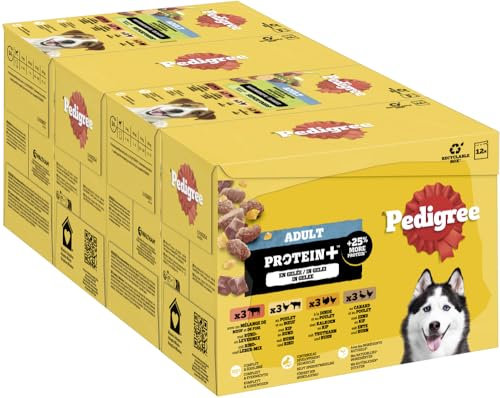 Pedigree Hund Portionsbeutel Protein Plus mit Stückchen in Gelee für ausgewachsene Hunde 4 x 12 x 85 g