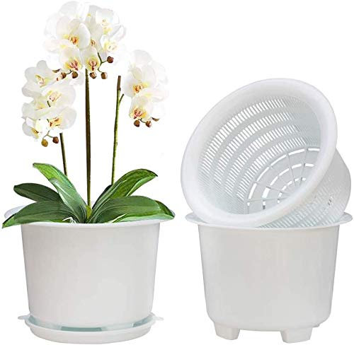 Meshpot Pots à orchidées en plastique de 20,3 cm avec trous et soucoupes – 2 pots intérieurs, 2 pots extérieurs, 2 soucoupes