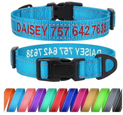 TagME Personalisierte Hundehalsband für Kleine Hund Mit Gestickten, Reflektierendes Nylon Hundehalsband Mit Pet Name & Telefonnummer, Himmelblau S
