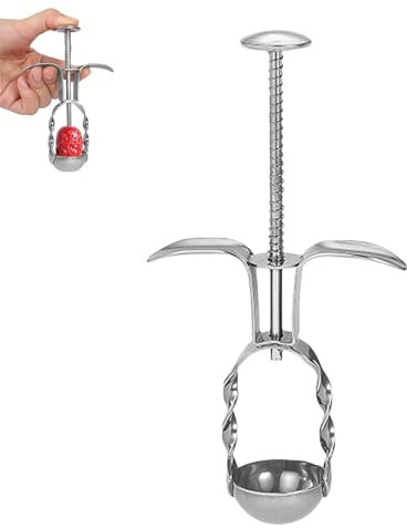 Roter Dattelentkerner – Werkzeug zum Entkernen roter Datteln | Kirschentstein-Entkerner-Werkzeug | Fruchtkernentferner aus Edelstahl | Fruchtkernentferner für rote Datteln, Kirschkerne, Küchenhelfer