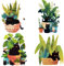 GORGECRAFT 4 Stil Grüne Pflanzen Glasaufkleber 16x16cm Sommer Topfaufkleber Statischer Wandaufkleber Für Schiebetür Fenster Antikollisionsalarm PVC Haftfolie Verhindern von Schlägen von Vögeln Hunden