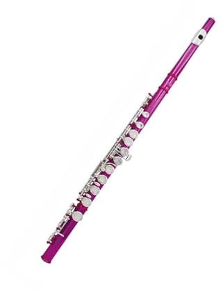 Querflöte Flöte Mit 16 Geschlossenen Löchern C-Tonart Silberflöte Mit Lederetui Professionelle Konzertflöte Holzblasinstrument(Magenta)