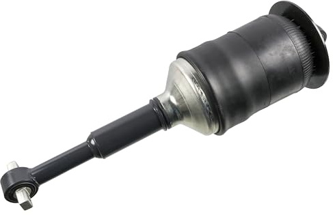 FEBI BILSTEIN 2x Ammortizzatore Anteriore Compatibilità con MAN TGS II 185238