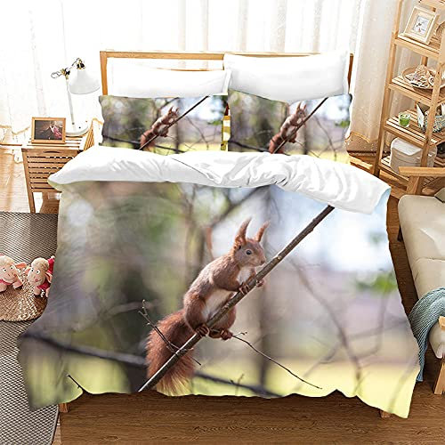 PONGLPKBB Bettwäsche 135x200 Kleines Eichhörnchen, Mikrofaser Bettbezüge - 1 x Bettbezug mit Reißverschluss + 1 Kissenbezug 80x80 cm für Kinder Jungs Mädchen