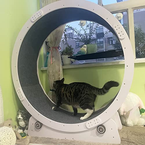 Katzenlaufrad Leises Katzenlaufrad Laufband - Weißes Sicherheits-Katzenlaufrad für Den Innenbereich / Katzenlaufrad / Katzenspielzeug, Kleine Mittlere Große Katze Laufband Spielzeug ( Size : L-Inner D