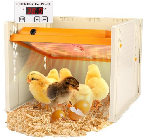 Placa calefactora para pollitos, 10 x 10 pulgadas, altura ajustable y ángulo, lámpara de calefacción para incubadora de pollitos, temperatura constante en tres lados, placa de incubadora de 25 W fácil