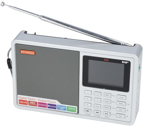 Digitales FM -Radio mit DAB+ FM Tuner 2,4 Zoll LCD -Screen Clock Recorder Aux Eingabe USB Micro Storage Card für Home Office Outdoor