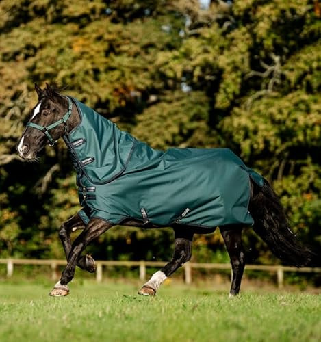 Horseware Amigo Ripstop 900D Plus Turnout 200g Decke Dynasty Green/Navy & Silver :