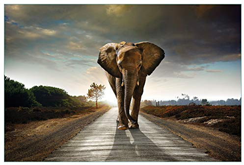 Wallario Küchenrückwand selbstklebend 90 x 60 cm, Motiv: Elefant bei Sonnenaufgang in Afrika | Spritzschutz abwischbar & pflegeleicht