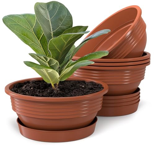 Plastard Pflanzschale mit Untersetzer im 5er Set in Terrakotta 25 cm Durchmesser große runde Blumenschalen aus Kunststoff für Garten Terrasse Wohnung für Aussen und Innen Schalen Pflanztopf