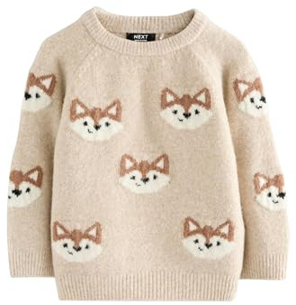 NEXT Jungen Gestrickter Rundhalspullover 62-122
