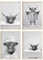DEUXYU Premium Badezimmer Deko Bilder 4er, A4 Moderne Bad Poster Set, Rind Tier in der Badewanne Leinwandbilder, Hängende Gemälde Wandbilder, Kunstdruck Wandposter für Badezimmer, WC Toilette 21x30cm