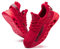 Furuian Sicherheitsschuhe Herren Damen Leicht Arbeitsschuhe Herren sportlich Atmungsaktiv Sneakers mit Stahlkappe rutschfest Fitness Turnschuhe (44EU,Rot)