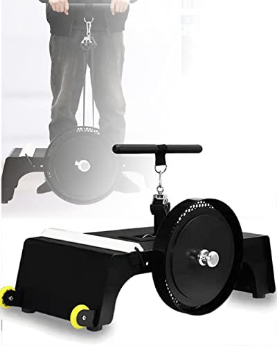 NAMVI Multi-Übungs-Gymnastik-Trainingsstation, exzentrisches Schwungrad-Trainingsgerät mit Universalrad, Kabel-Crossover-Maschine, Zentrifugen-Pully-Trainer mit variablem Widerstand, Krafttraining