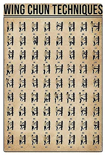 Metall-Blechschilder, Flügelchun-Techniken, 20,3 x 30,5 cm, Wing Chun Wissen, Wissenschaft, Poster, Wing Chun, Anfängerführer, Geschenk, Plaketten, Zuhause, Kampfsport, Zimmer, Schlafzimmer