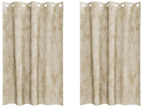 vidaXL Samtvorhänge mit Vorhängen 2 pcs Creme 175 x 140 cm Samt, Wohnzimmer, Moderne Samtvorhänge, langlebige Wärmedämmung, leicht, schick und effektiv lichtundurchlässig