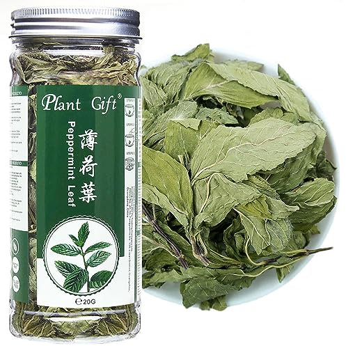 Plant Gift Peppermint Leaf/Mint Leaves 20G/0.7oz, 薄荷叶 Pfefferminzblatt/Minzblätter, natürlich frei von Konservierungsstoffen, Pfefferminz Tee Lose Blatt, Gesundheitstee