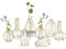 Sziqiqi Glas Propagation Station mit Metallrahmen - Mini Gold Geometric Vasen Set von 8 Modernen Gestell Blumenvase für Hydrokultur Pflanzen Kleine Dekorative Bud Vase für Tisch Hochzeit Mittelstücke