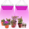 Cecaylie 2x15W LED Pflanzenlampe Vollspektrum, LED Grow Light Pflanzenlicht Led Grow Lamp, 225PCS LEDs Grow Lamp Pflanzen LED Wachstumslampe für Gemüse, Blume, Grow Tent, Greenhouse, Zimmerpflanzen